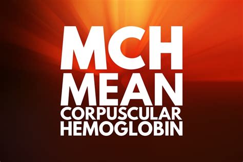 mchlj|Mchlj Kan .